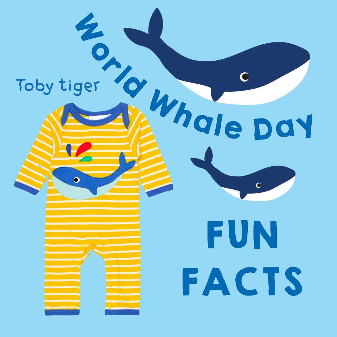 How You Can Celebrate World Whale Day - Toby Tiger UK Retail