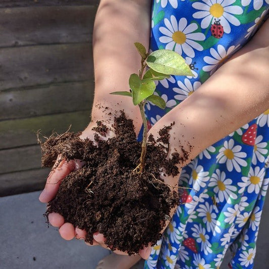 Let’s get kids gardening! - Toby Tiger