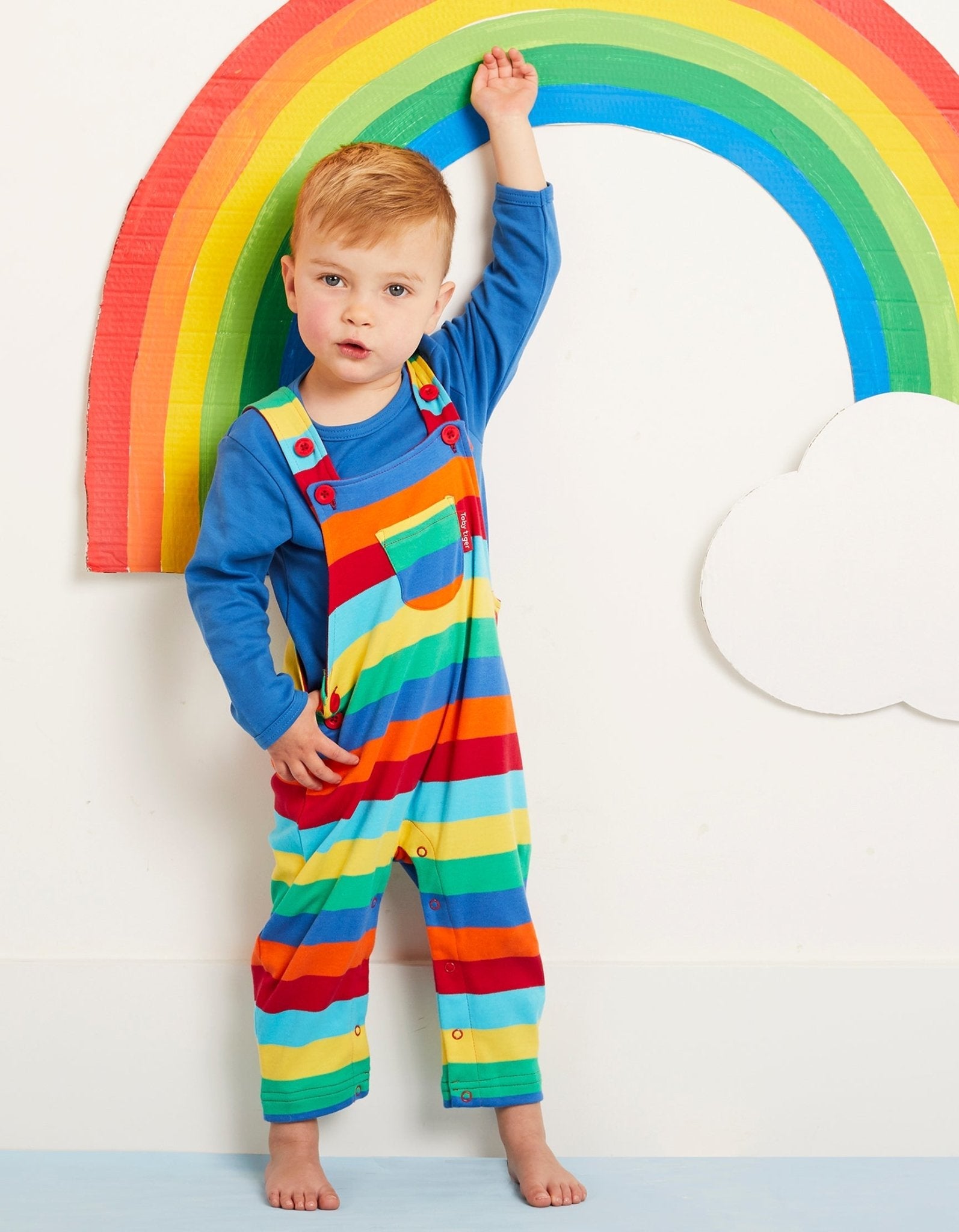 Celebrating the Colourful Beauty of Rainbows Toby Tiger