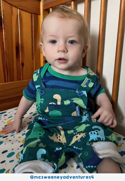 Organic Tonal Dinosaur Print Dungarees - Toby Tiger