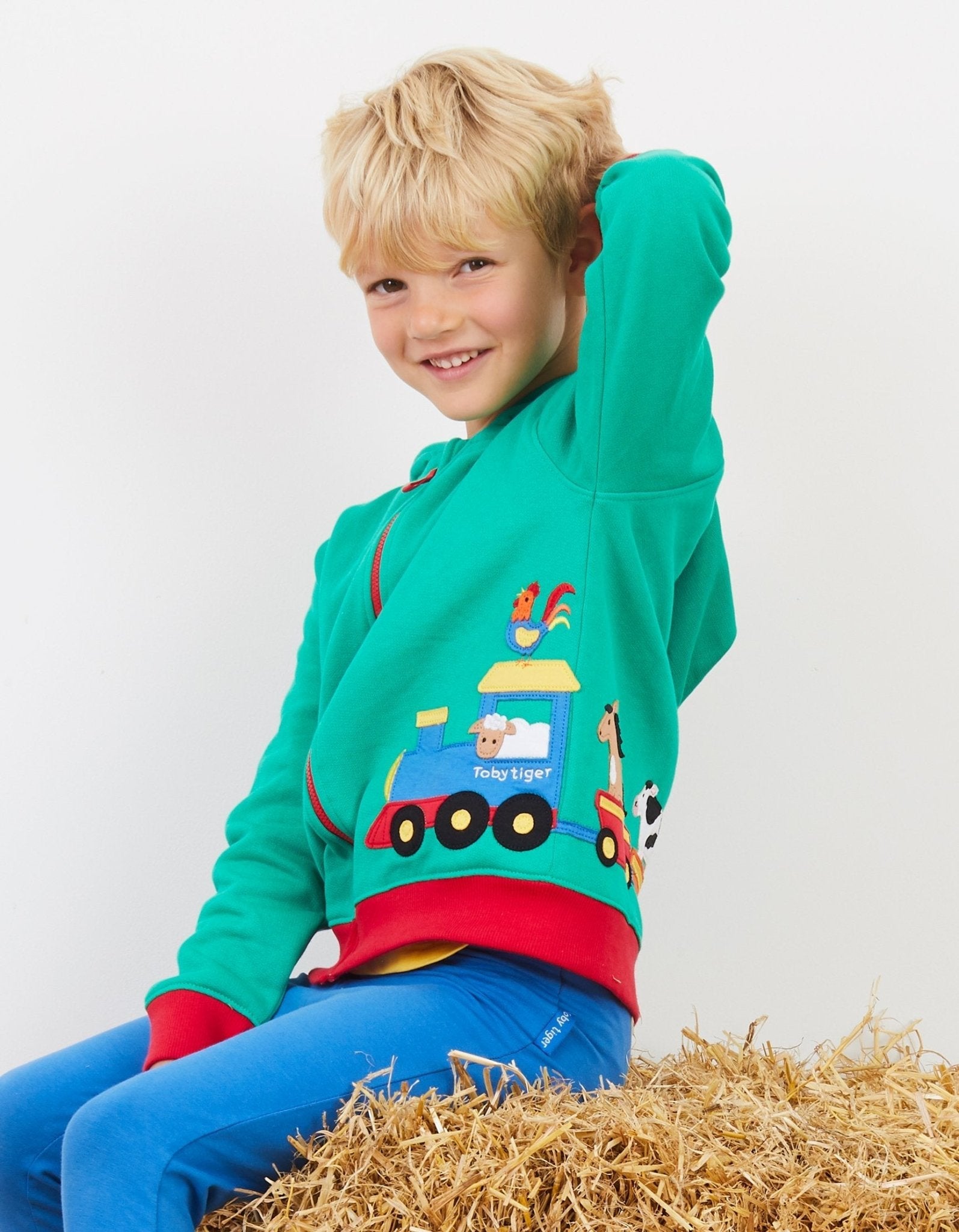 Organic Animal Train Applique Hoodie - Toby Tiger UK Retail