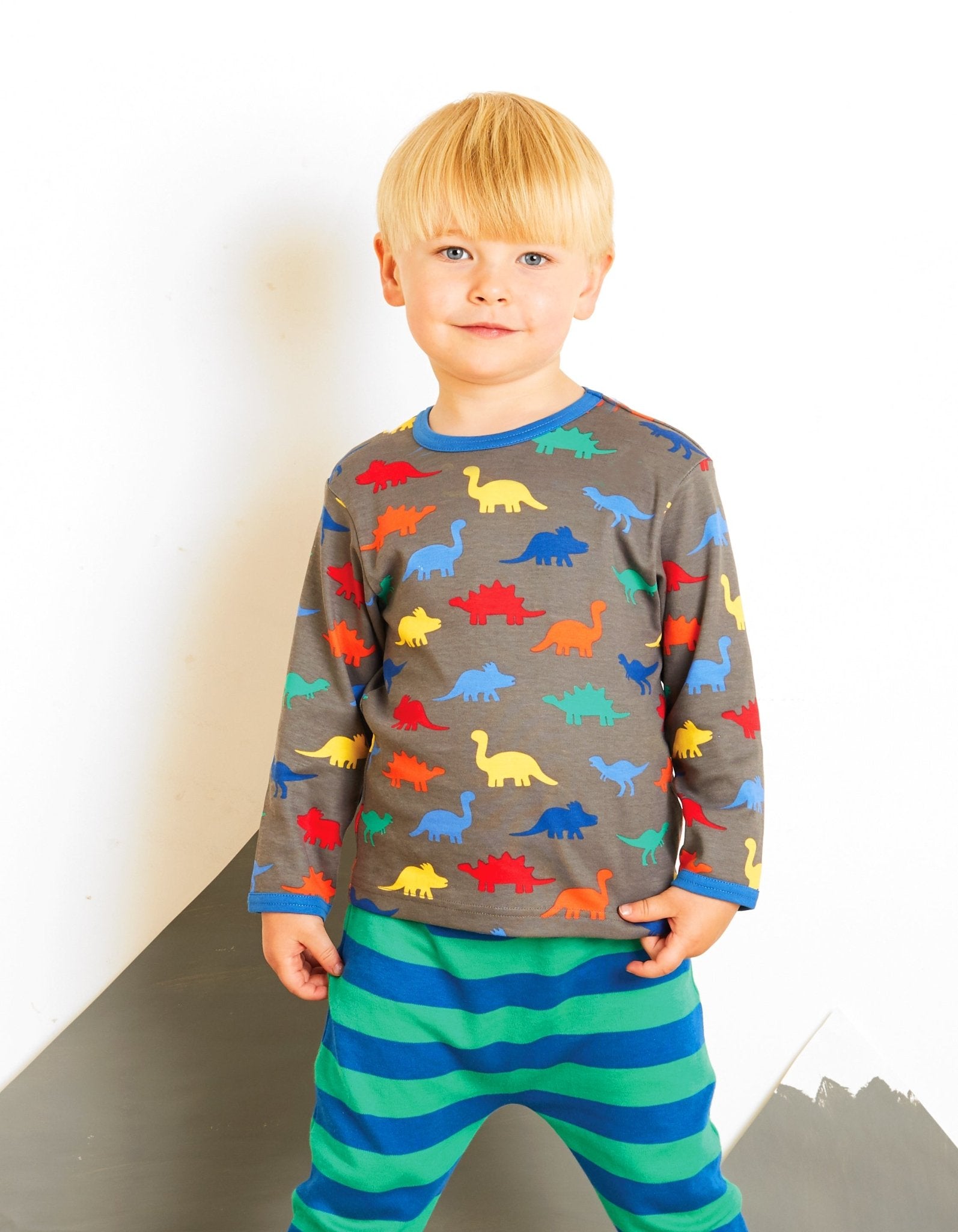 Organic Dinosaur Print T-Shirt - Toby Tiger UK Retail