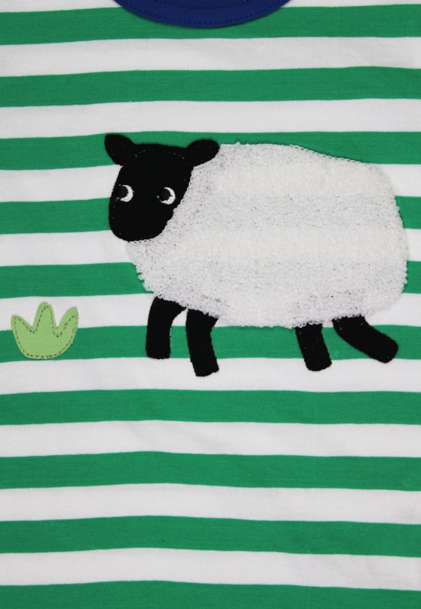 Organic Hillside Sheep Applique Short Sleeved T-Shirt - Toby Tiger